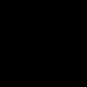 Meet your Posher, Pedro